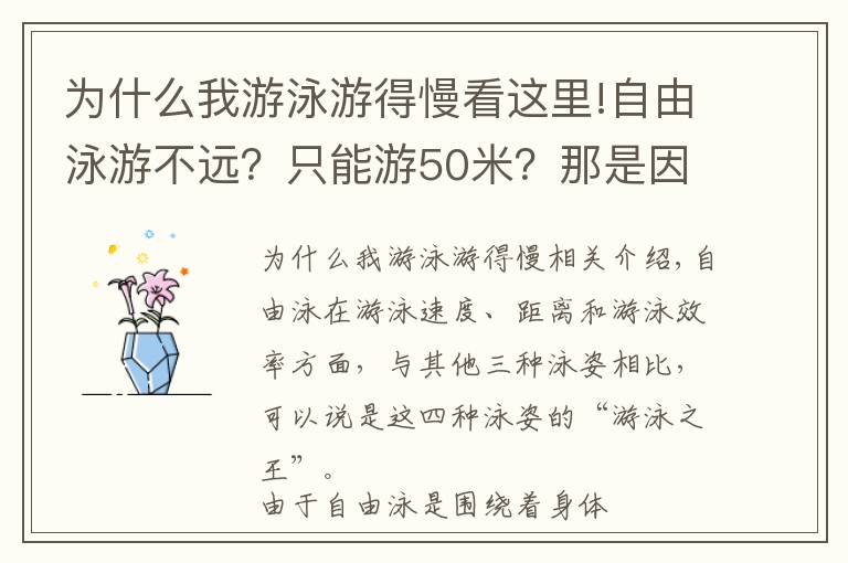 为什么我游泳游得慢看这里!自由泳游不远？只能游50米？那是因为你没有这样做