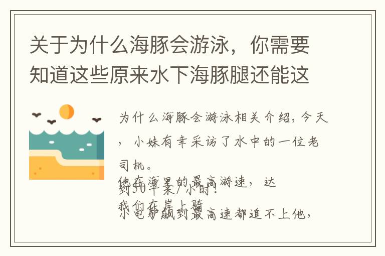 关于为什么海豚会游泳，你需要知道这些原来水下海豚腿还能这么快！海上老司机独家专访