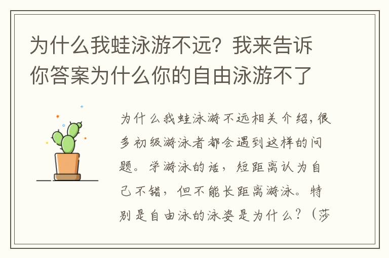 为什么我蛙泳游不远？我来告诉你答案为什么你的自由泳游不了长距离？