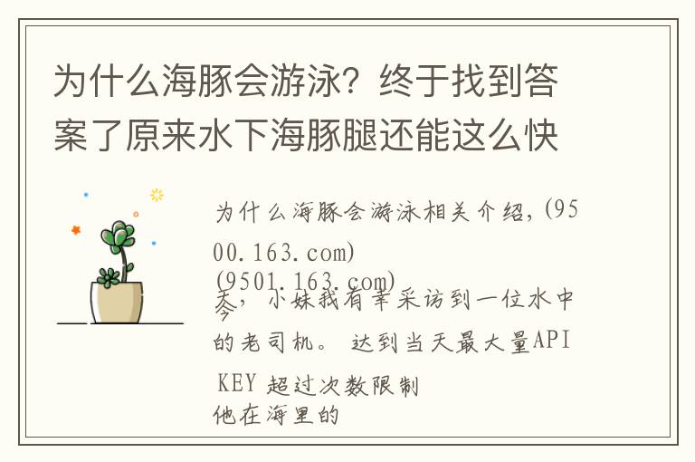 为什么海豚会游泳？终于找到答案了原来水下海豚腿还能这么快！海上老司机独家专访