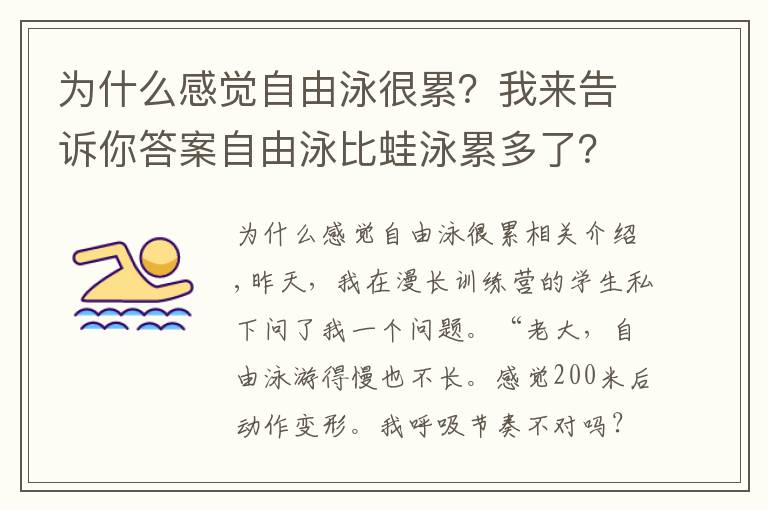 为什么感觉自由泳很累？我来告诉你答案自由泳比蛙泳累多了？动作容易变形？你需要换一种训练方式