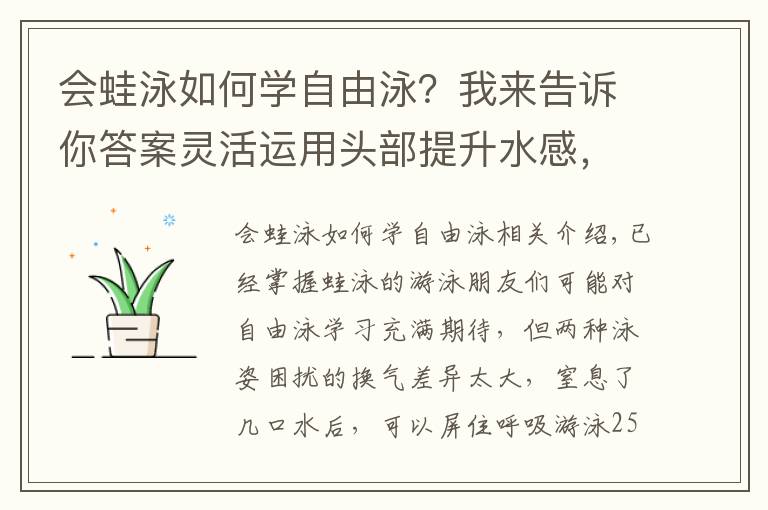 会蛙泳如何学自由泳？我来告诉你答案灵活运用头部提升水感，帮你从蛙泳顺利过渡到自由泳