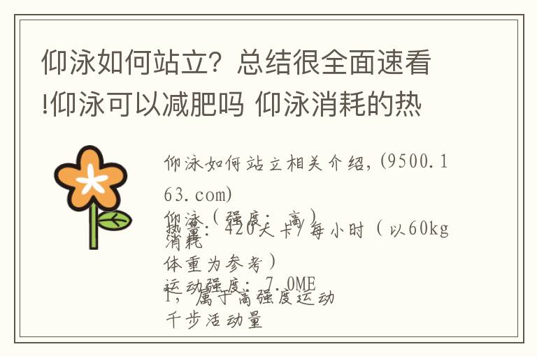 仰泳如何站立？总结很全面速看!仰泳可以减肥吗 仰泳消耗的热量