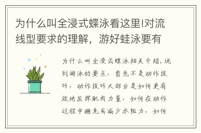 为什么叫全浸式蝶泳看这里!对流线型要求的理解，游好蛙泳要有向前向上的意识