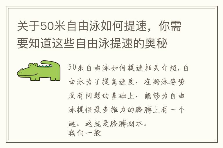 关于50米自由泳如何提速，你需要知道这些自由泳提速的奥秘