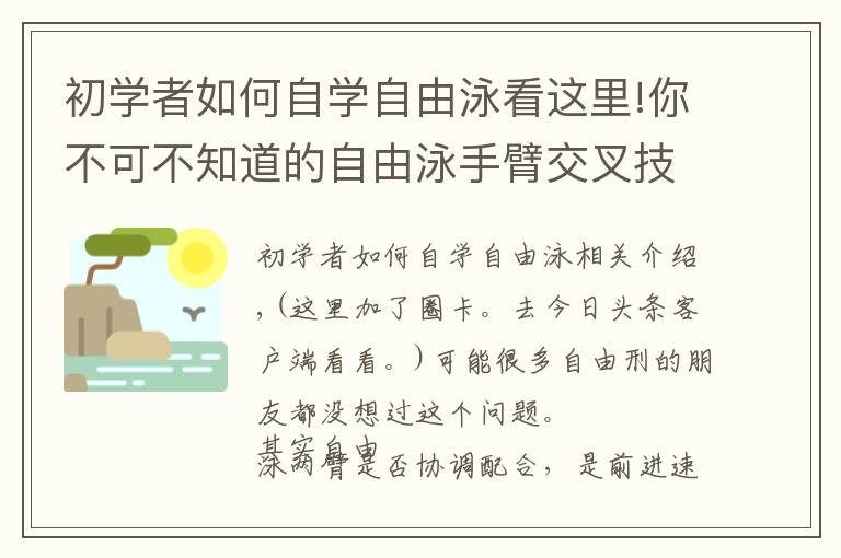 初学者如何自学自由泳看这里!你不可不知道的自由泳手臂交叉技术