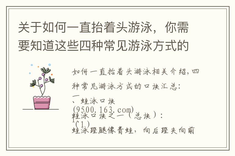 关于如何一直抬着头游泳，你需要知道这些四种常见游泳方式的口诀汇总