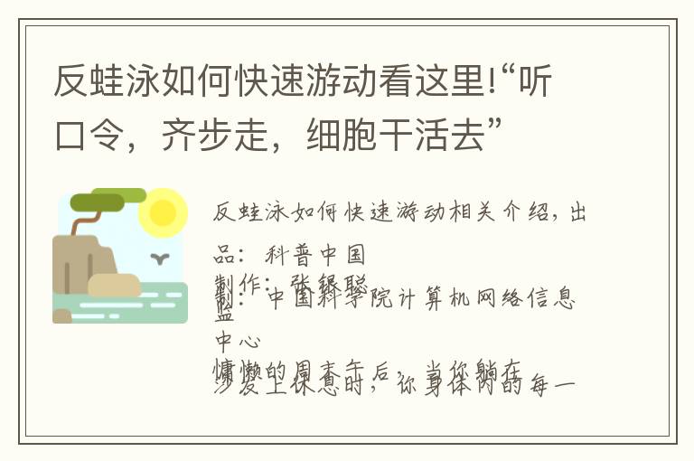 反蛙泳如何快速游动看这里!“听口令，齐步走，细胞干活去”