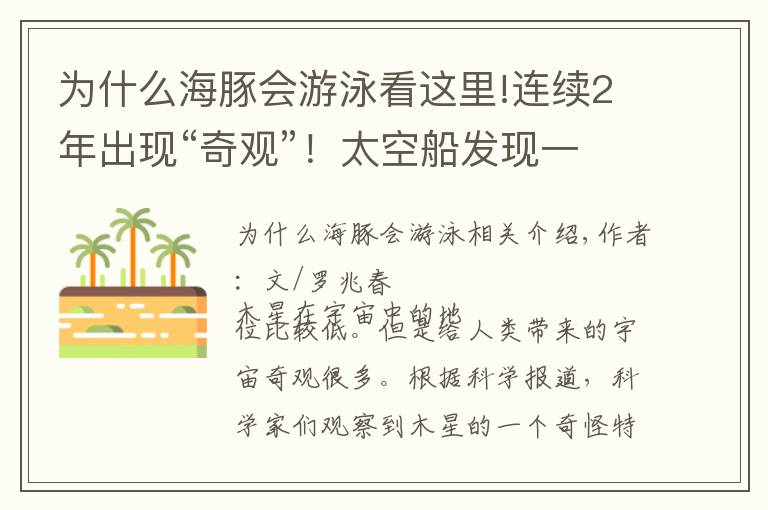 为什么海豚会游泳看这里!连续2年出现“奇观”！太空船发现一只海豚在木星上“游泳”