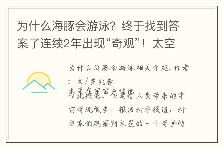 为什么海豚会游泳？终于找到答案了连续2年出现“奇观”！太空船发现一只海豚在木星上“游泳”