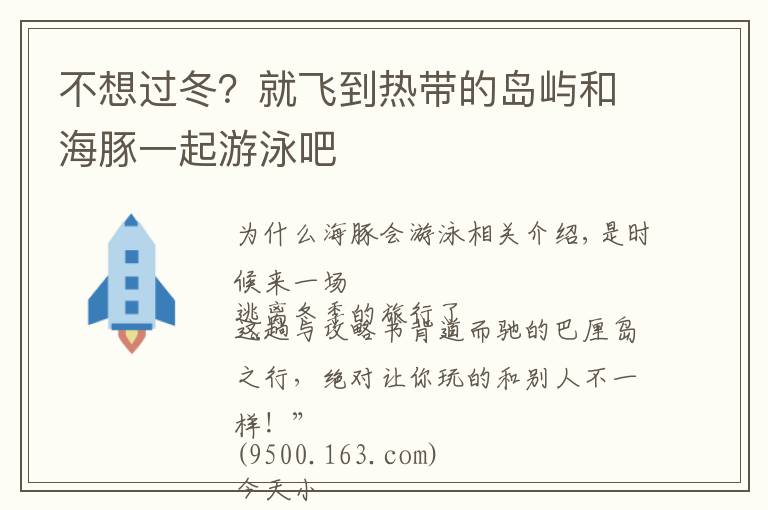 不想过冬？就飞到热带的岛屿和海豚一起游泳吧