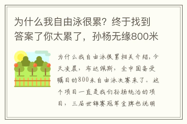 为什么我自由泳很累？终于找到答案了你太累了，孙杨无缘800米自由泳四连冠，赛后直接趴到泳池边