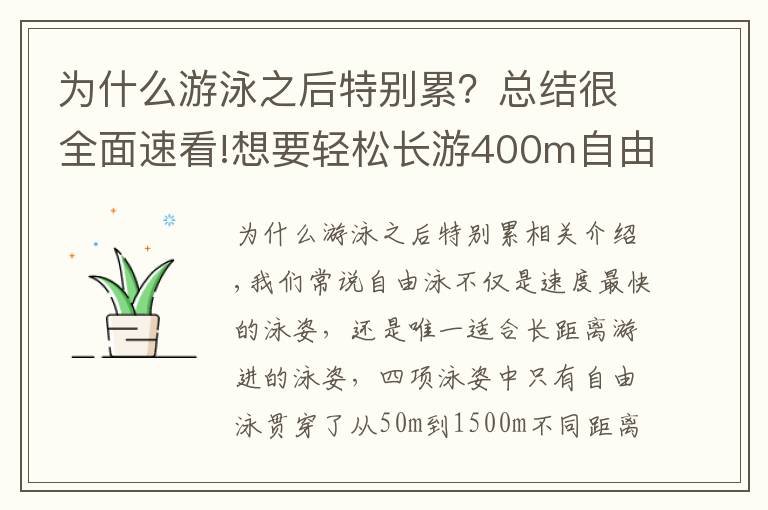 为什么游泳之后特别累？总结很全面速看!想要轻松长游400m自由泳？这些导致你「容易疲劳」的动作需要改善