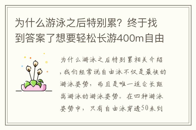 为什么游泳之后特别累？终于找到答案了想要轻松长游400m自由泳？这些导致你「容易疲劳」的动作需要改善