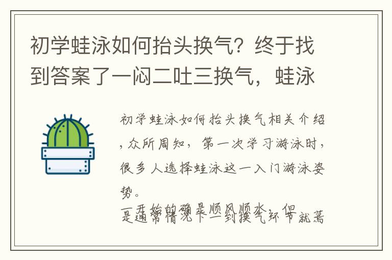 初学蛙泳如何抬头换气？终于找到答案了一闷二吐三换气，蛙泳呼吸只需3步轻松搞定！