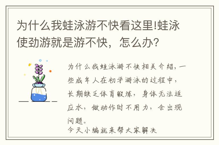 为什么我蛙泳游不快看这里!蛙泳使劲游就是游不快，怎么办？