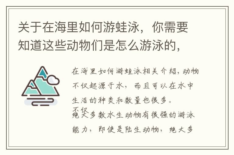 关于在海里如何游蛙泳，你需要知道这些动物们是怎么游泳的，它们游泳都会使用什么“特殊”技巧？