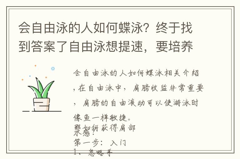 会自由泳的人如何蝶泳？终于找到答案了自由泳想提速，要培养肩部水感