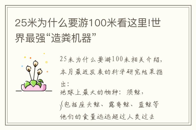 25米为什么要游100米看这里!世界最强“造粪机器”