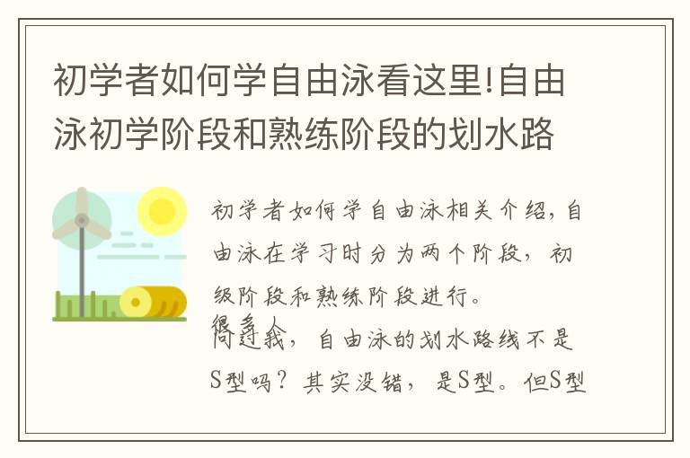 初学者如何学自由泳看这里!自由泳初学阶段和熟练阶段的划水路线