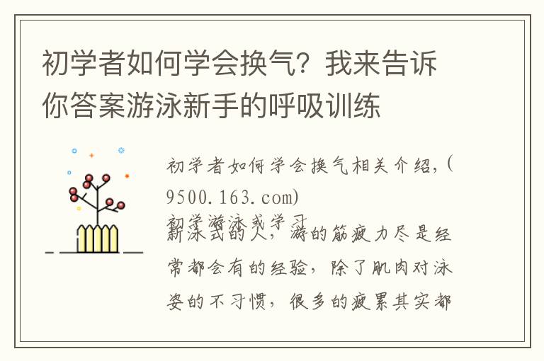 初学者如何学会换气？我来告诉你答案游泳新手的呼吸训练