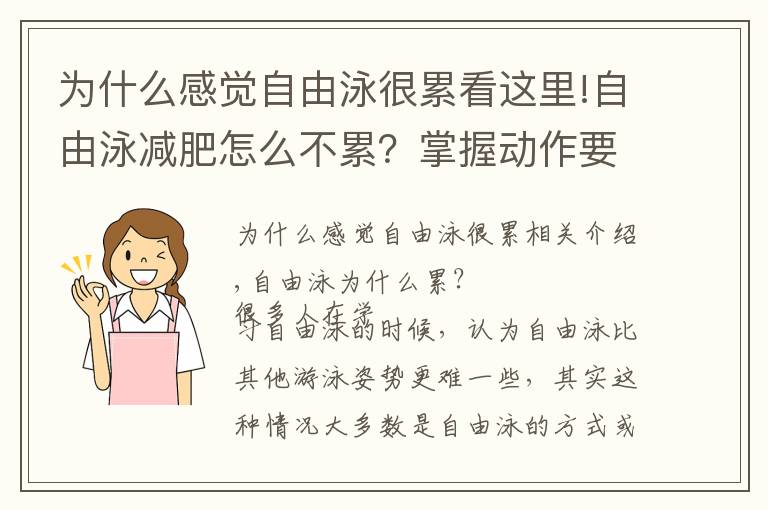 为什么感觉自由泳很累看这里!自由泳减肥怎么不累？掌握动作要领就好了