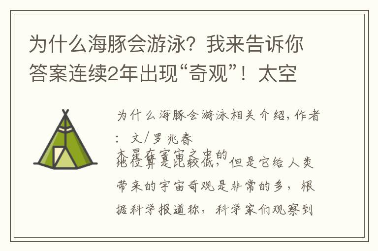 为什么海豚会游泳？我来告诉你答案连续2年出现“奇观”！太空船发现一只海豚在木星上“游泳”