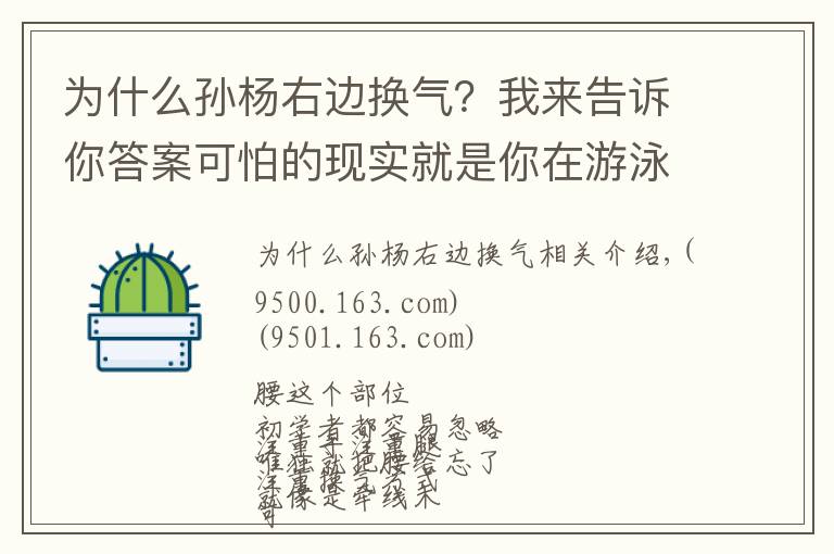 为什么孙杨右边换气？我来告诉你答案可怕的现实就是你在游泳中塌腰！急需这3种方法帮你纠正