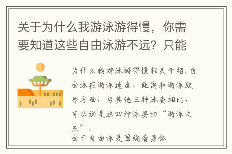 关于为什么我游泳游得慢，你需要知道这些自由泳游不远？只能游50米？那是因为你没有这样做