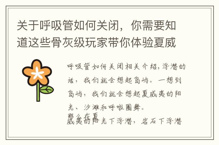 关于呼吸管如何关闭，你需要知道这些骨灰级玩家带你体验夏威夷神秘浮潜地点