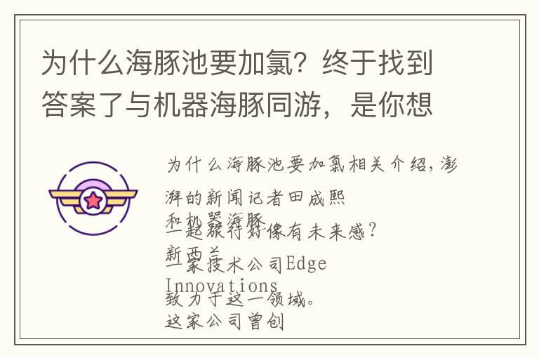 为什么海豚池要加氯？终于找到答案了与机器海豚同游，是你想象中未来海洋馆的样子吗？