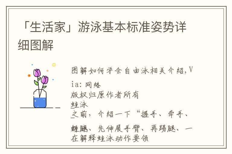 「生活家」游泳基本标准姿势详细图解文章配图