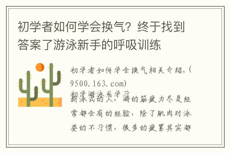 初学者如何学会换气？终于找到答案了游泳新手的呼吸训练