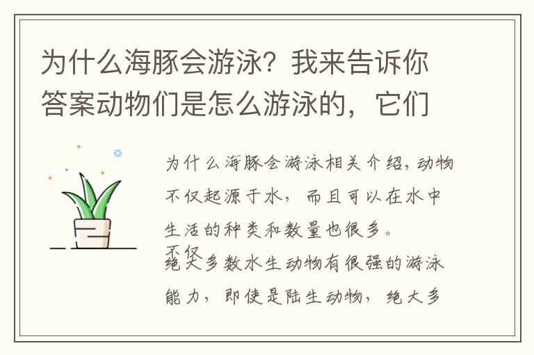 为什么海豚会游泳？我来告诉你答案动物们是怎么游泳的，它们游泳都会使用什么“特殊”技巧？