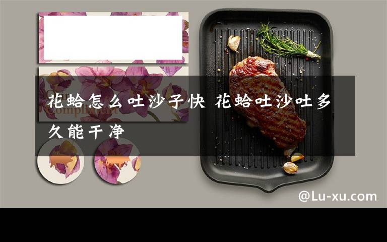 花蛤怎么吐沙子快 花蛤吐沙吐多久能干净