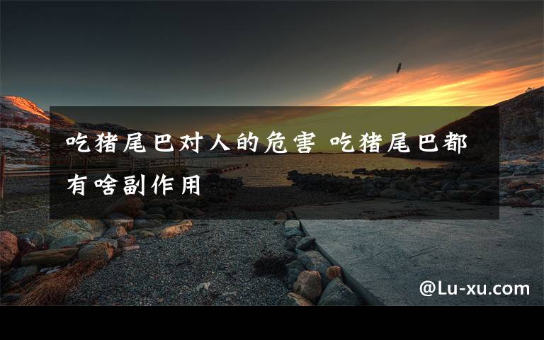 吃猪尾巴对人的危害 吃猪尾巴都有啥副作用文章配图
