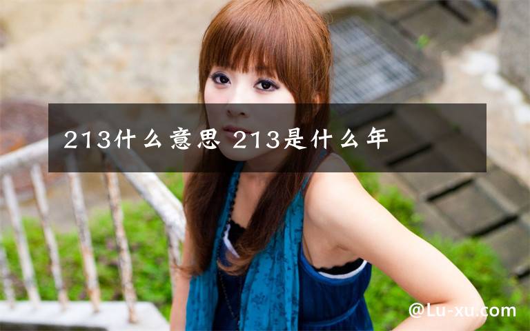 213什么意思 213是什么年文章配图