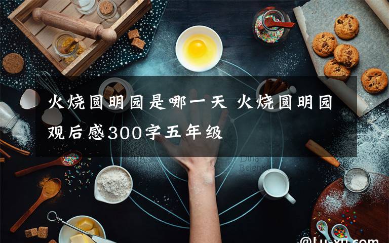 火烧圆明园是哪一天 火烧圆明园观后感300字五年级文章配图
