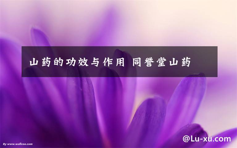 山药的功效与作用 同誉堂山药文章配图
