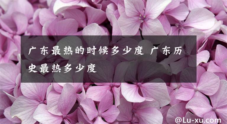 广东最热的时候多少度 广东历史最热多少度文章配图