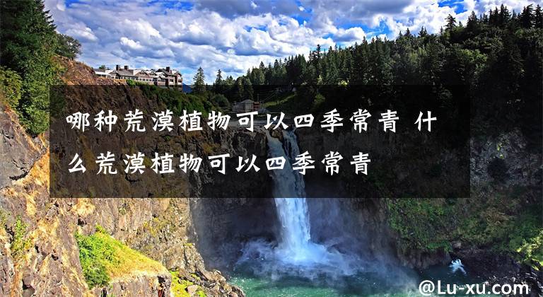 哪种荒漠植物可以四季常青 什么荒漠植物可以四季常青文章配图