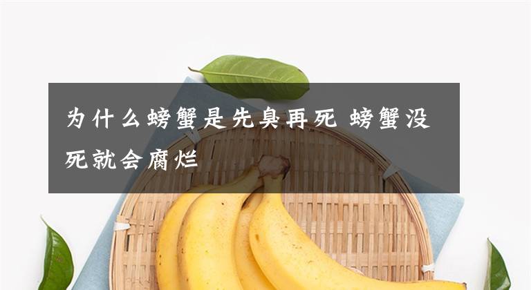 为什么螃蟹是先臭再死 螃蟹没死就会腐烂文章配图