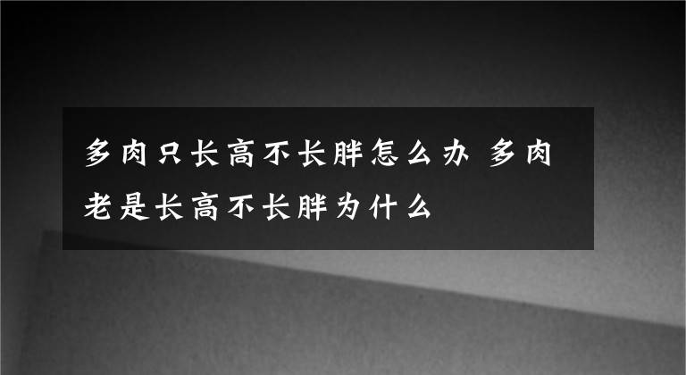 多肉只长高不长胖怎么办 多肉老是长高不长胖为什么