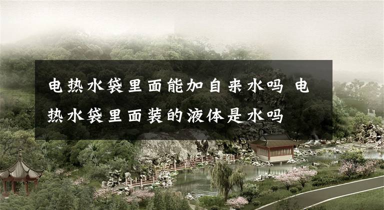 电热水袋里面能加自来水吗 电热水袋里面装的液体是水吗文章配图