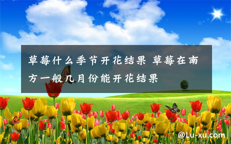 草莓什么季节开花结果 草莓在南方一般几月份能开花结果