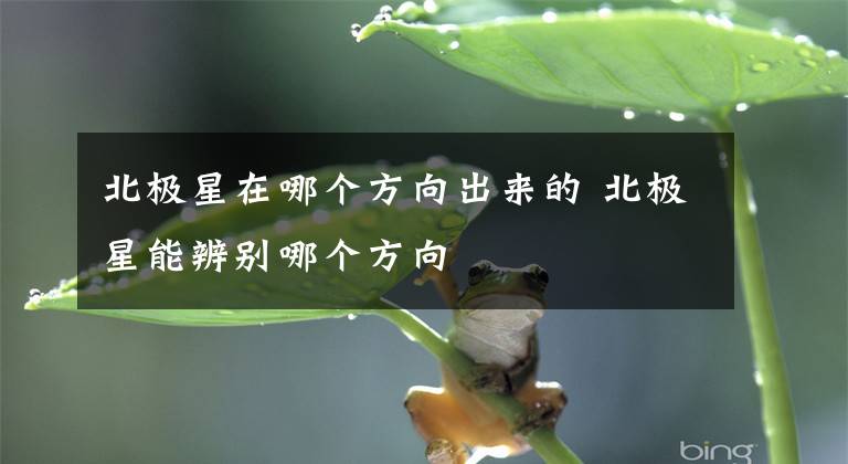 北极星在哪个方向出来的 北极星能辨别哪个方向文章配图