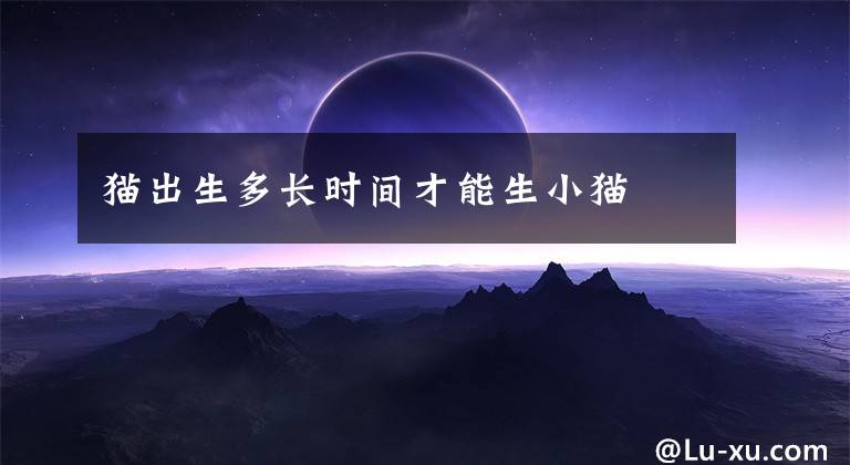 猫出生多长时间才能生小猫文章配图