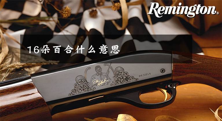 16朵百合什么意思文章配图