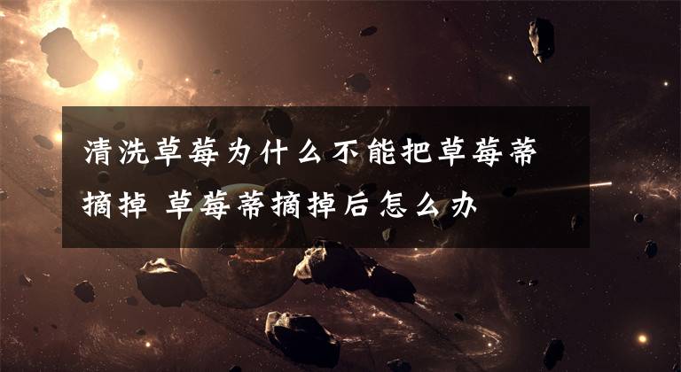 清洗草莓为什么不能把草莓蒂摘掉 草莓蒂摘掉后怎么办文章配图