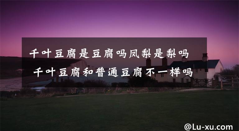 千叶豆腐是豆腐吗凤梨是梨吗 千叶豆腐和普通豆腐不一样吗文章配图